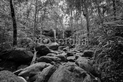 Wonderful green landscape with green moss and waterfall at the tropical rain forest, Breathtaking primitive forest and evergreen nature landscape, Beautiful green moss growing on stone in deep jungle