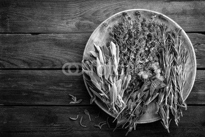 various fresh herbs, rosemary, thyme, mint and sage on wooden background