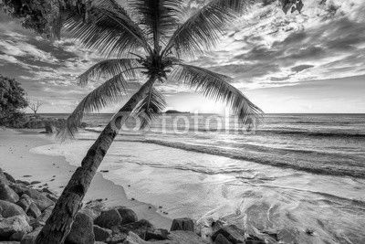 Beautiful Sunset at tropical beach.