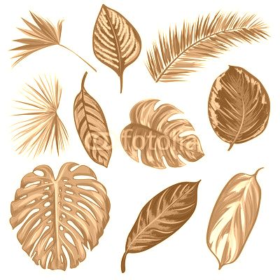 Tropical Leaves Collection on isolate vector. Beautiful Set. Vector illustration. Eps 10.