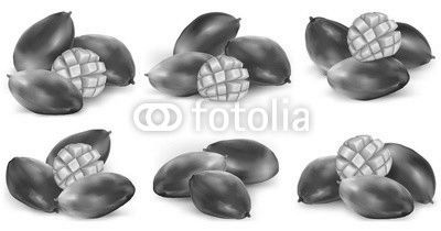 Set of mango illustration