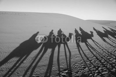 Caravan with tourists in the Sahara. Morocco, Africa