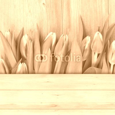 Tulpen auf Holz
