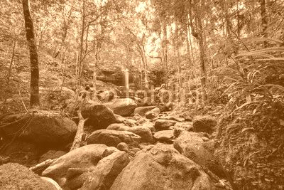 Wonderful green landscape with green moss and waterfall at the tropical rain forest, Breathtaking primitive forest and evergreen nature landscape, Beautiful green moss growing on stone in deep jungle