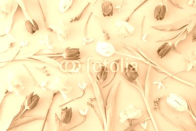 Floral background
