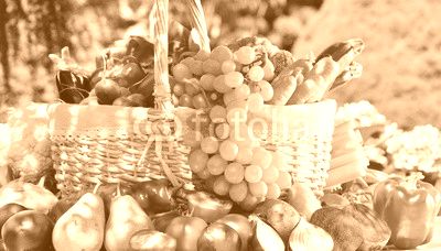 Fresh organic vegetables and fruits in the garden