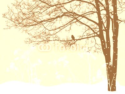 tree in the snowy day
