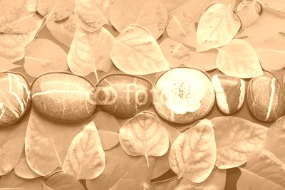 Striped stones and leaf in water on a wet  background