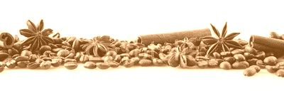 Scattered coffee beans in line on white