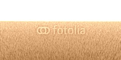 3d grass