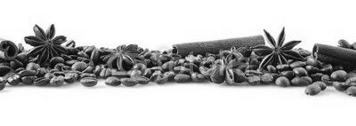 Scattered coffee beans in line on white