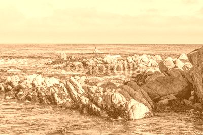 Scenic California Coast Landscape