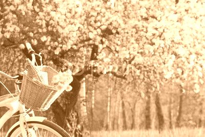 bicycle picnic outdoors/wicker basket with a bouquet of dandelions and retro bottle on the background of the spring landscape