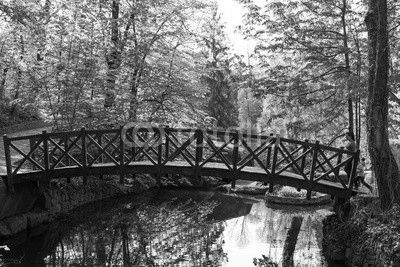 Old wooden bridge in the park