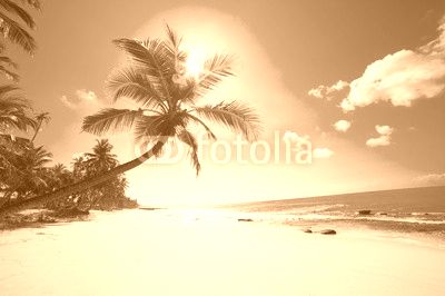Tropical beach
