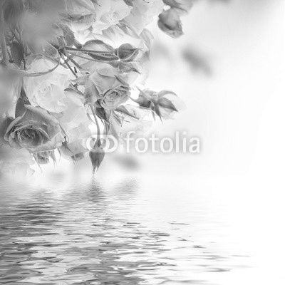 Bouquet of white and pink roses. Floral background.