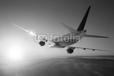 Vacation Flight 2