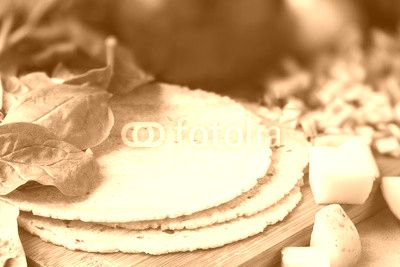 Homemade Corn Tortillas