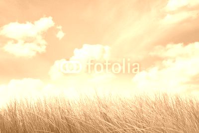 Natural backgrounds