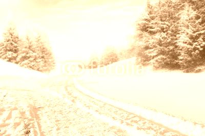 winter road and snow with frost 
