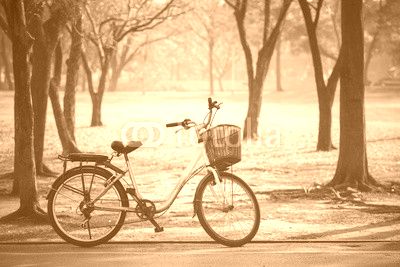 old vintage bicycle in public park with green nature concept