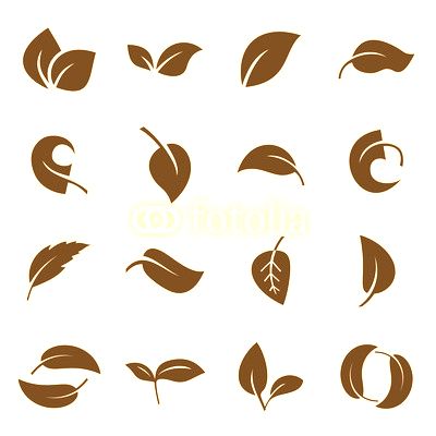 Icons of leaves. Vector illustration