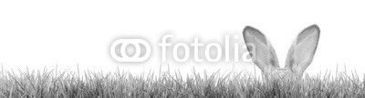 Frohe Ostern!