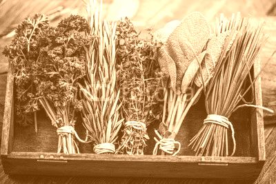 close view on fresh herbs
