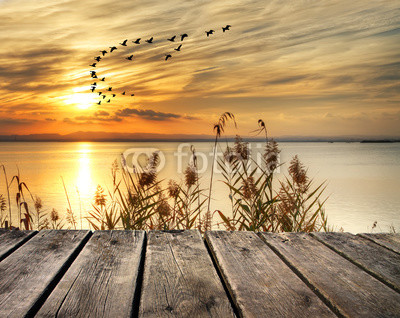 amanecer en la orilla del lago