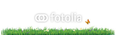 HERBE PRINTEMPS