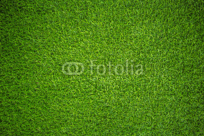 artificial grass