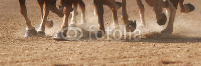 Hoof Dust