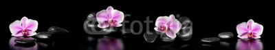 Horizontal panorama with pink orchids and zen stones on black ba