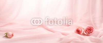 pink roses on soft silk