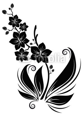 black orchids schwarze orchideen