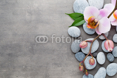 Spa orchid theme objects on grey background.