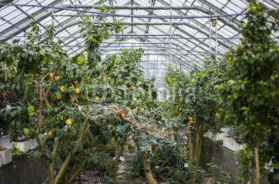 Ogród botaniczny
