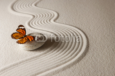 Zen butterfly