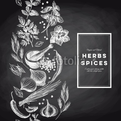 Vector background with hand drawn herbs and spices.