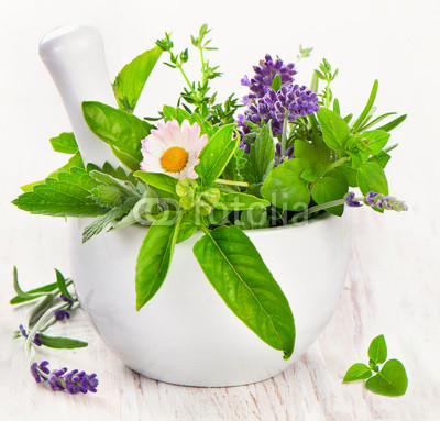 Herbs