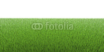 3d grass