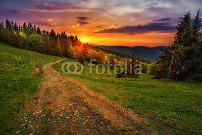 Path in polish mountains