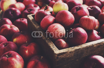 Red autumn apples in farmhouse style wooden crate