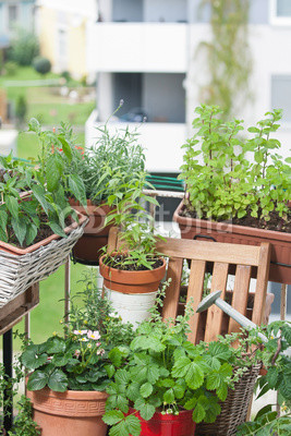 Balkongarten Urban gardening