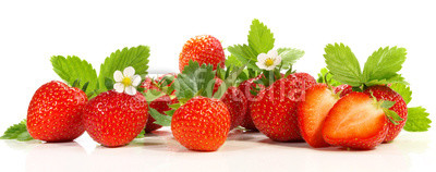 Erdbeeren - Panorama