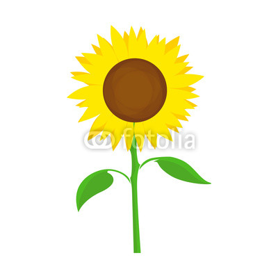 Sunflower Vector Symbol