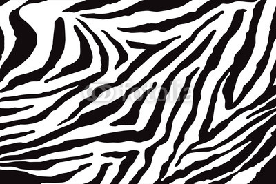 Zebra Pattern Vector