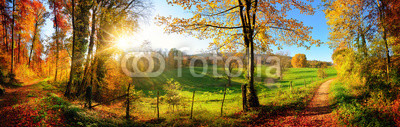 Zauberhafte Landschaft im Herbst: sonniges Panorama von ländlicher Idylle