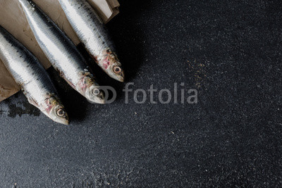 Sardines on dark background