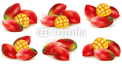 Set of mango illustration